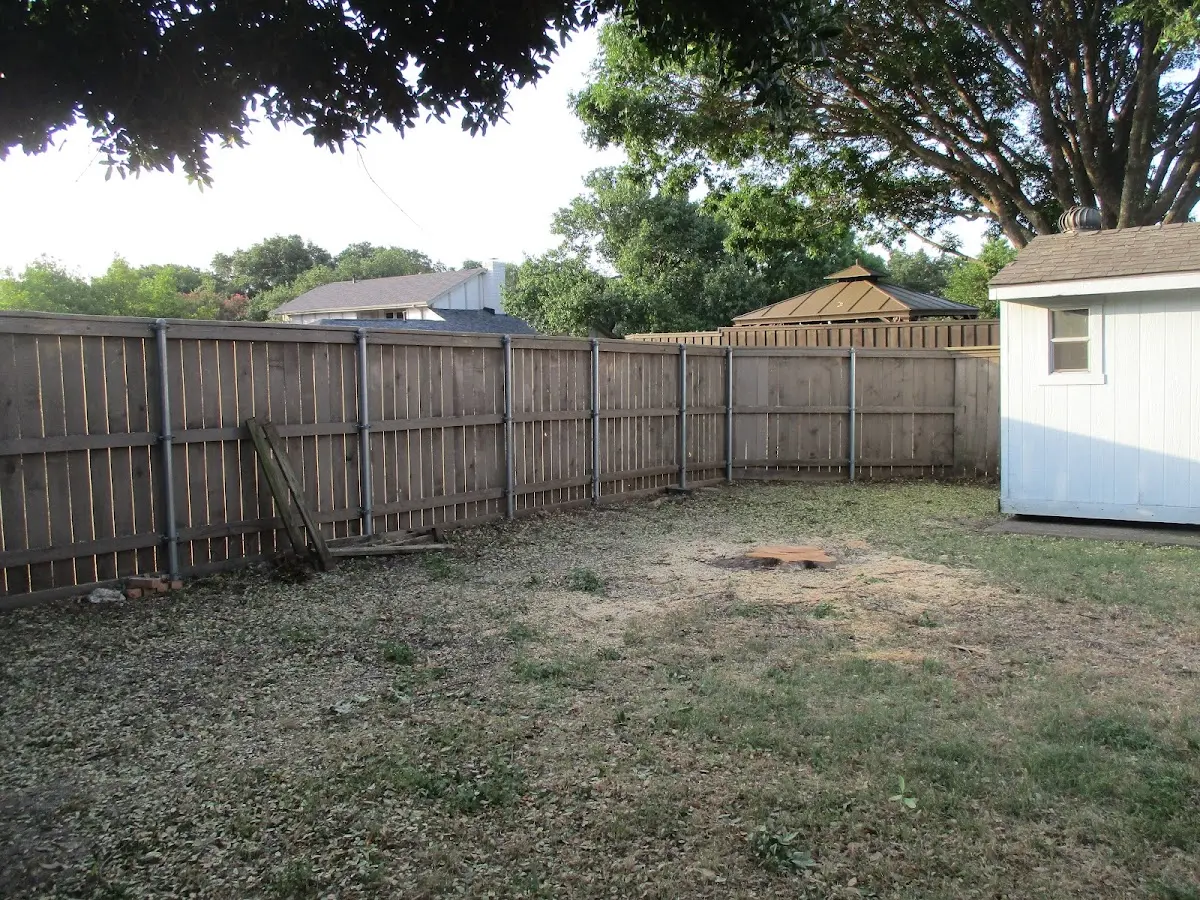 Cleared yard after professional tree removal in Kingsport