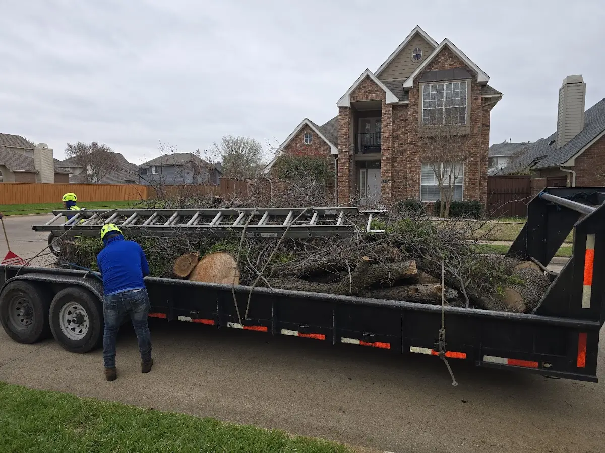 Expert Tree Removal with proper safety equipment in Kingsport